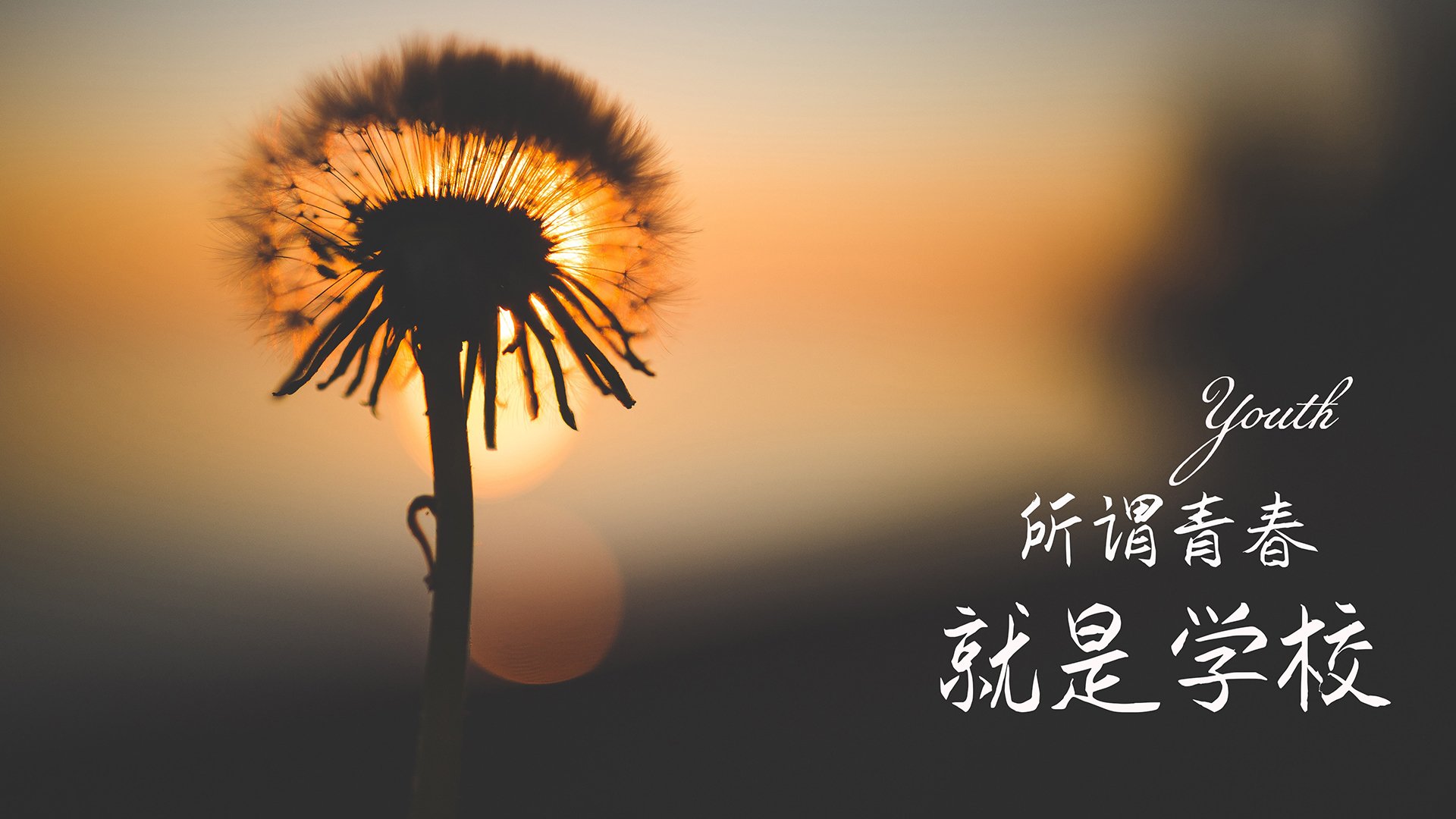 _飞盘瑜伽融合:身心合一的新运动形式_,飞盘运动项目介绍